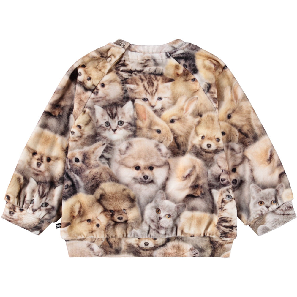 Køb Molo Fuzzy Fluffy Disc Sweatshirt