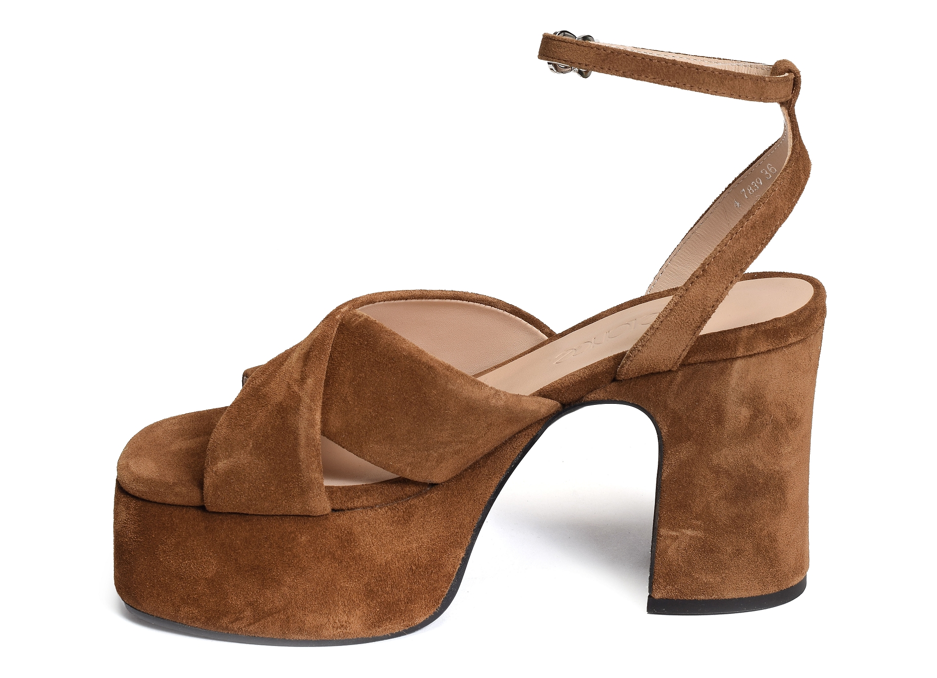 Gaby camel