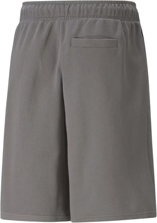 Puma Pivot Special shorts Grå