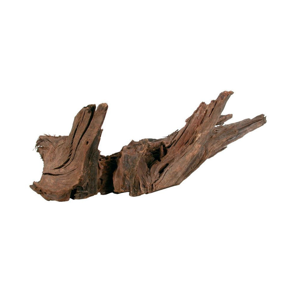 Racine naturelle mangrove 40/60 cm