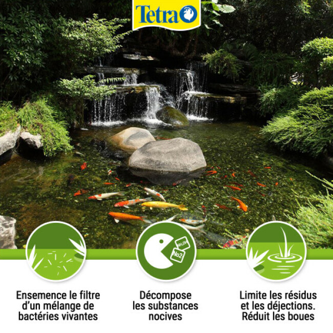 Tetra Pond Filterstart activateur de filtre