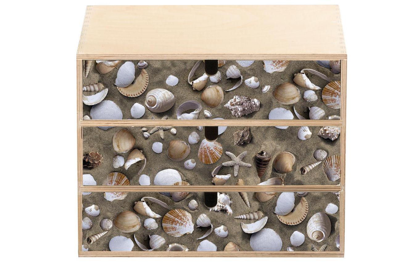 Designfolie Ttrendyline VenusDesignfolie mit Muscheldesign