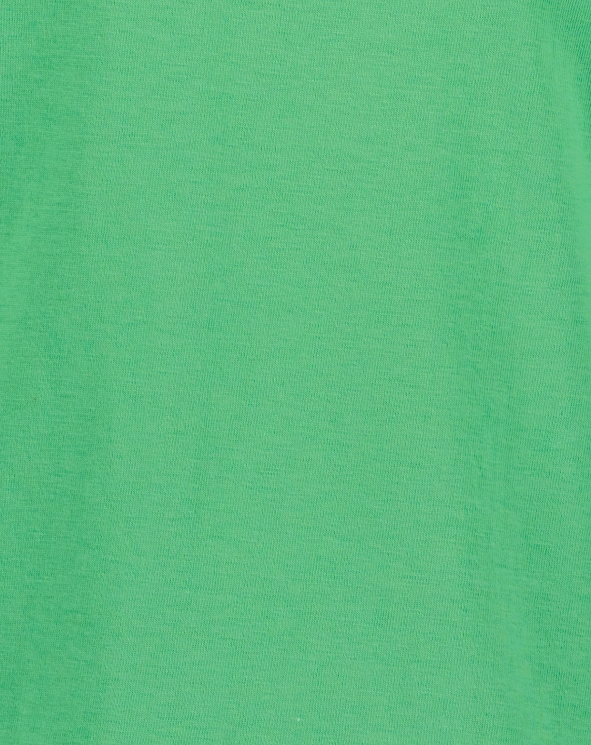 T-Shirt WHAT A DINO in apfel