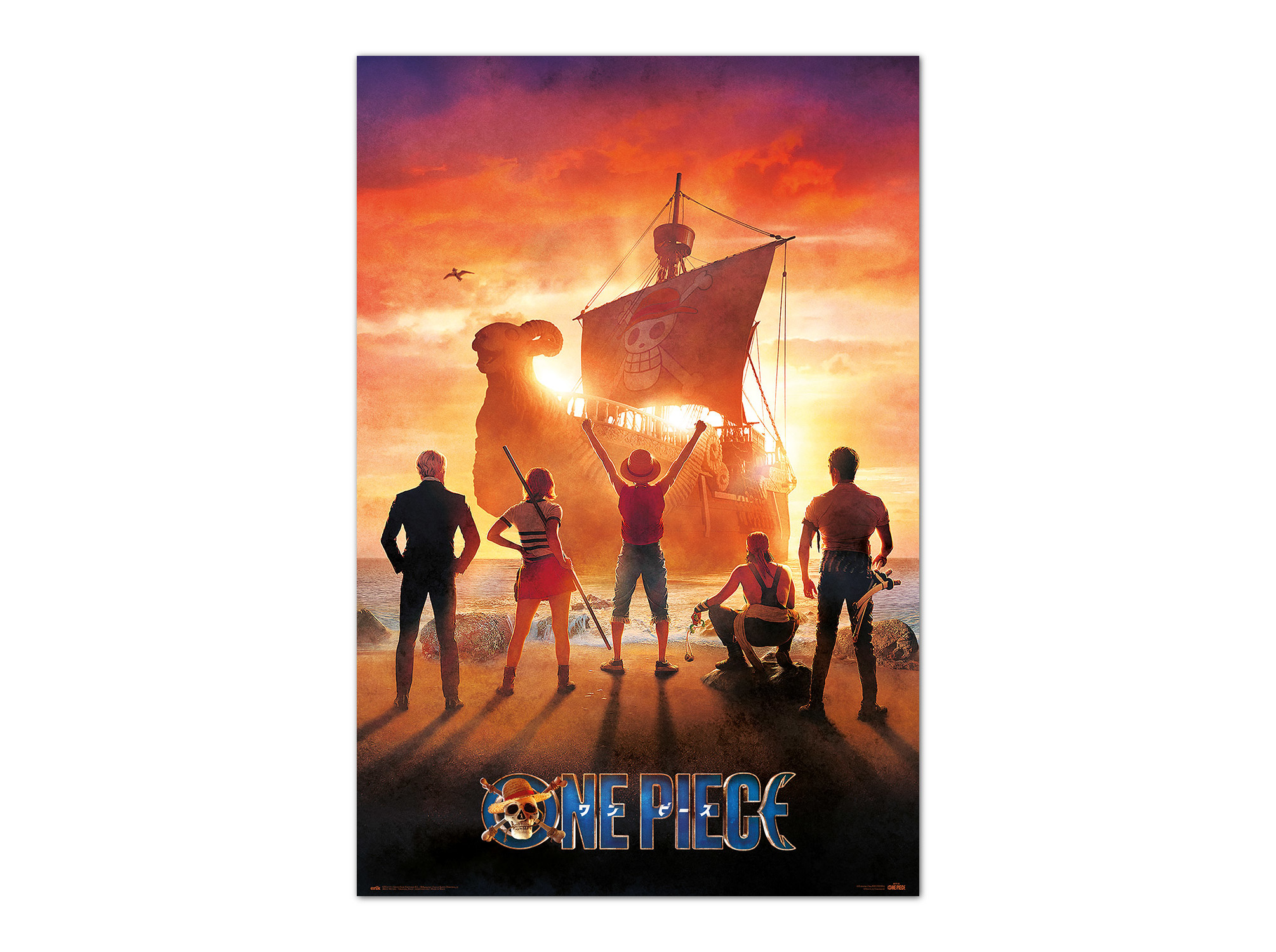 POSTER ONE PIECE PIRATES ERIK