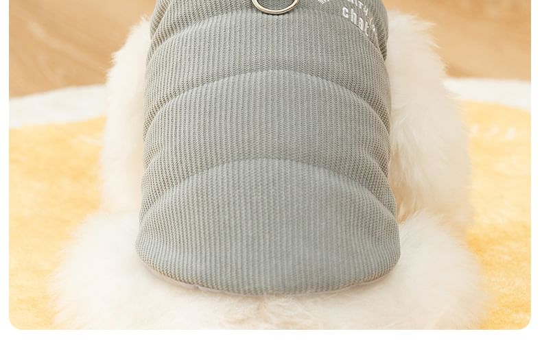 Cissilli - Corduroy Pet Top met capuchon en letters