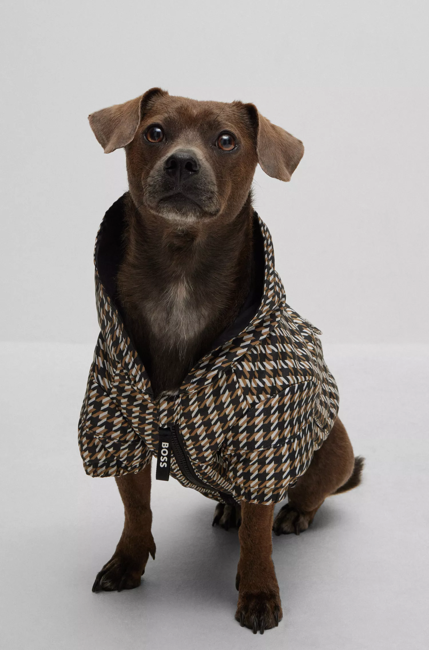 Jaqueta impermeável BOSS Black-Dog