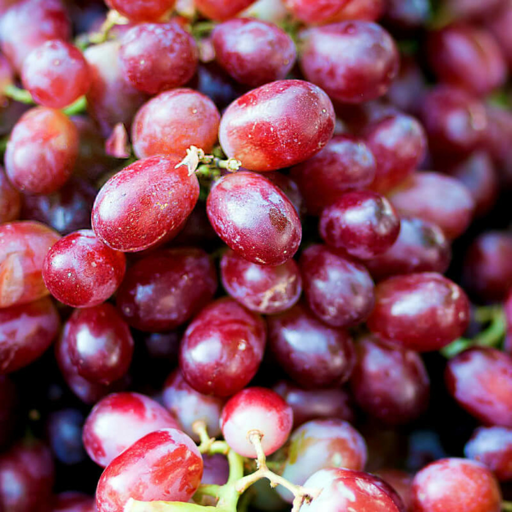 Vigne 'cardinal' - conteneur 3l - taille 60/100cm