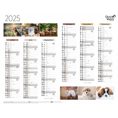 Quo Vadis - Calendrier Fantaisie 6 mois par face - 43 x 33,5 cm - animaux