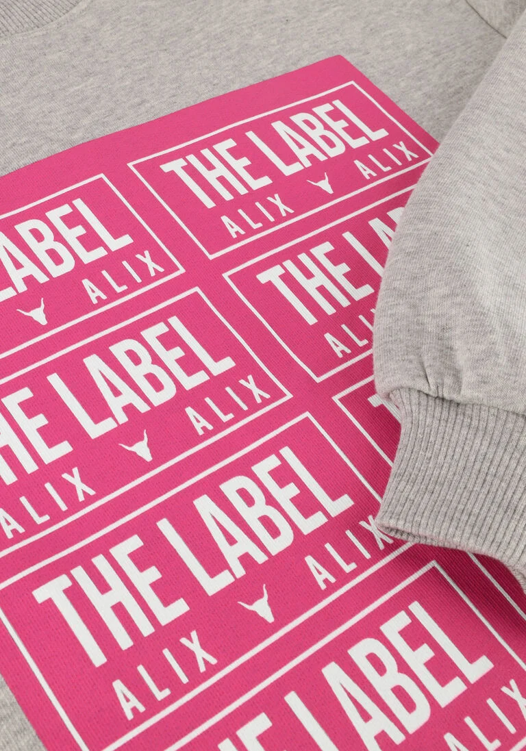 ALIX THE LABEL grijze alix the label sweater ladies knitted label sweater
