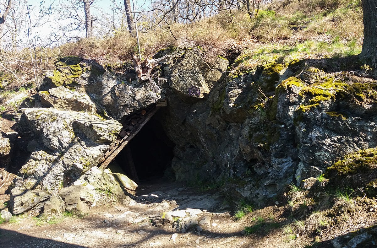 Kräuterwanderung Alexisbad