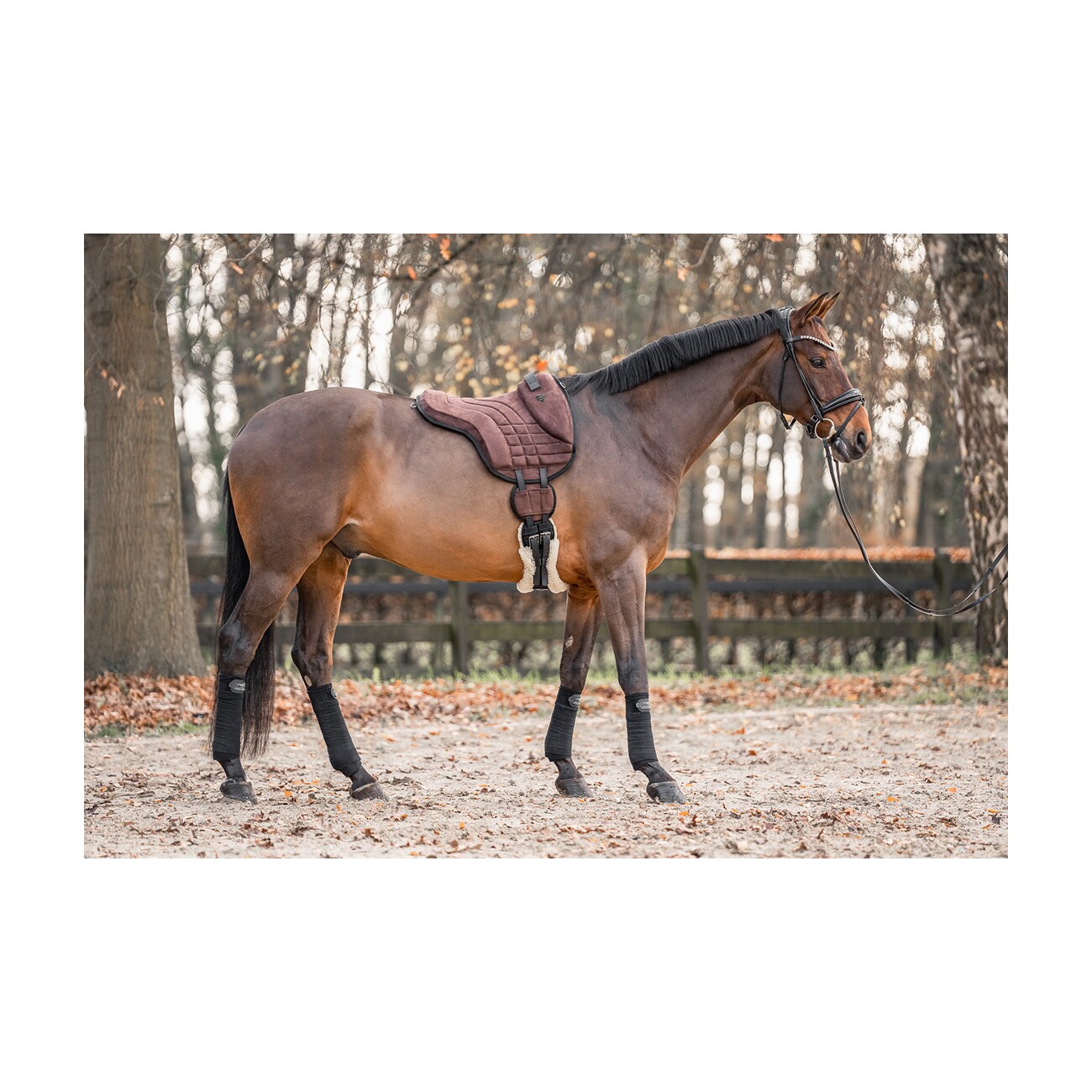 Equinate Reitpad Harper aus synthetischem Wildleder braun L