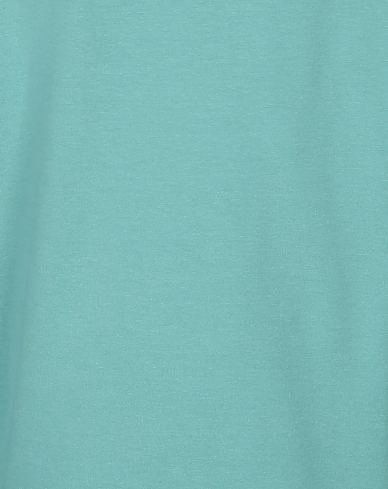 Rollkragen-Langarmshirt BASIC in grün
