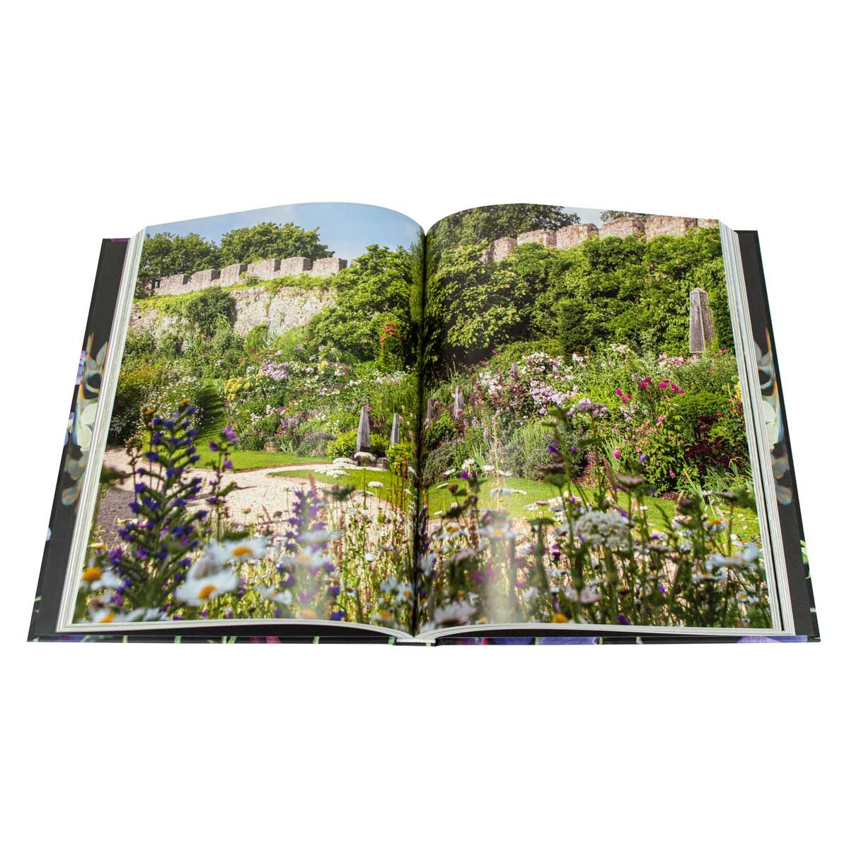 Scent Magic: Notes from a Gardener (Hardback)