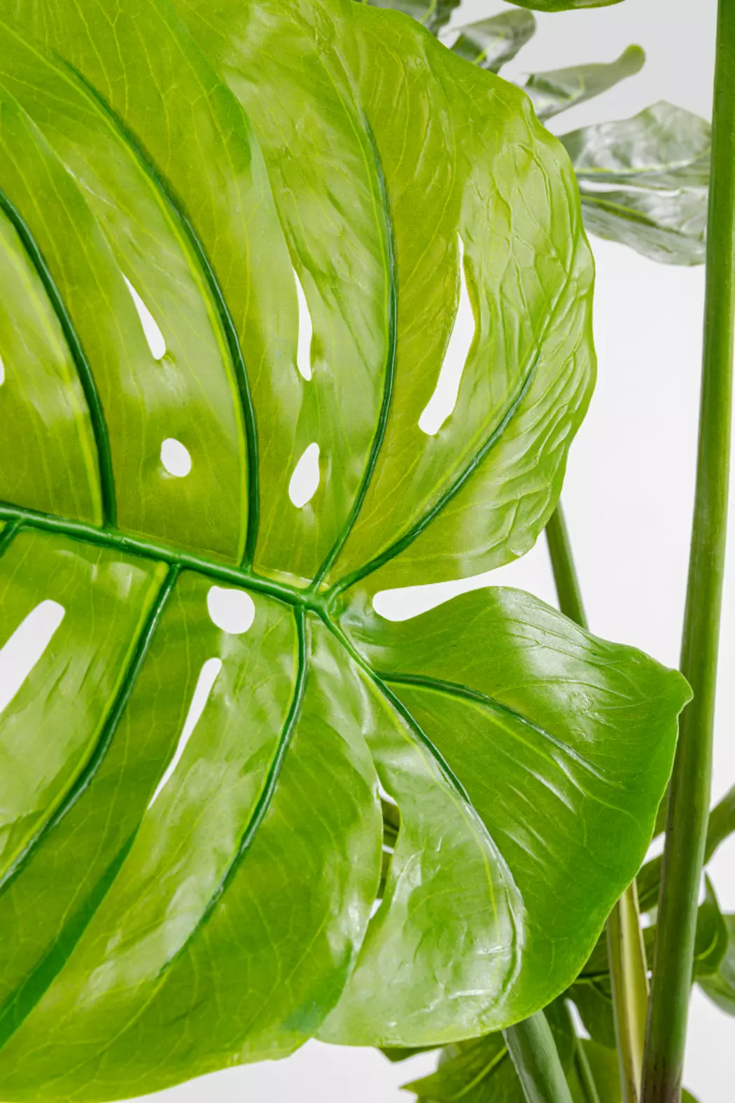 Deko Pflanze 51683 Monstera
