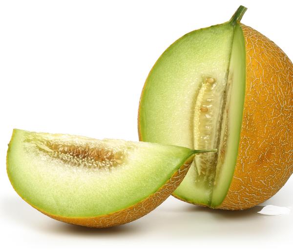 Zuckermelone 'Galia'
