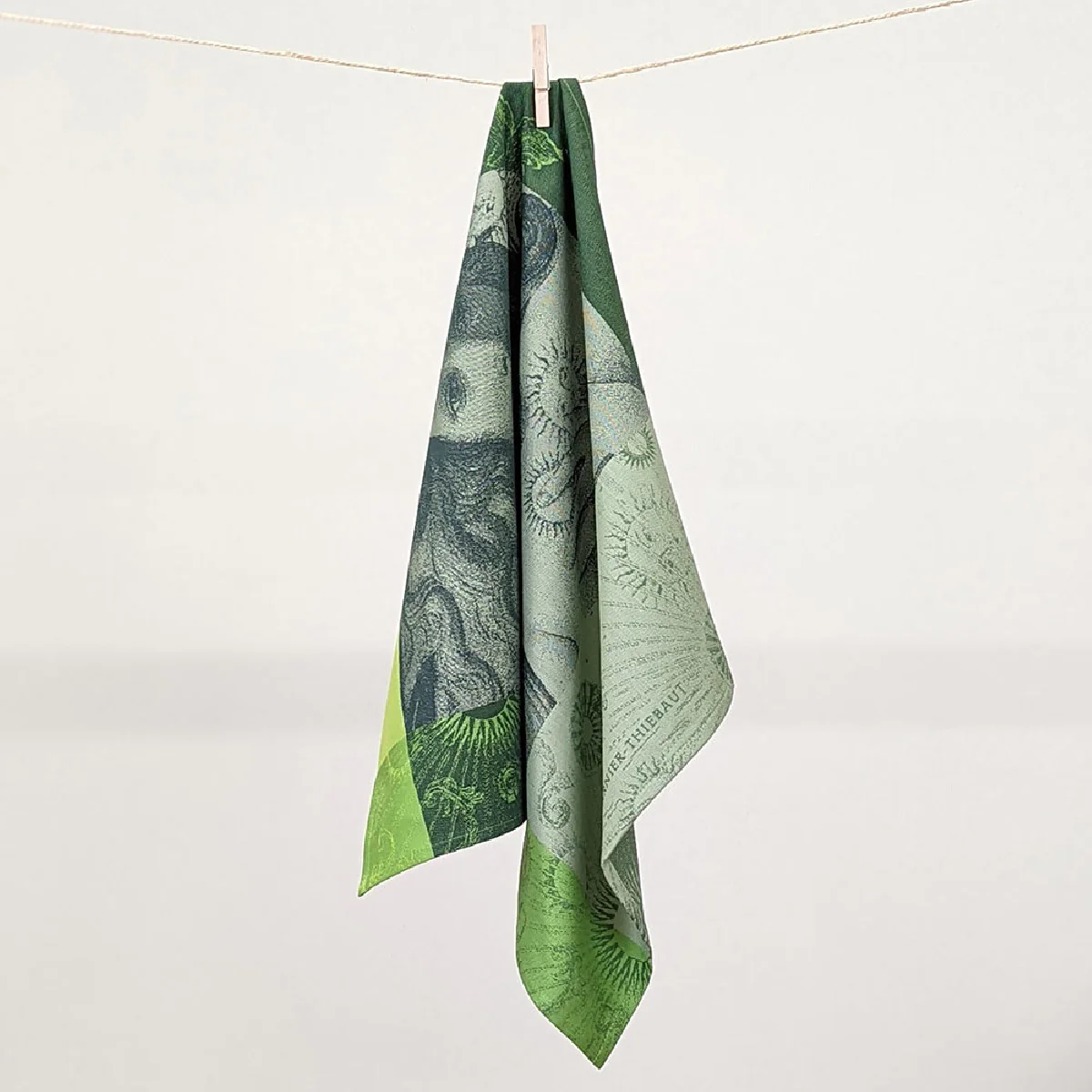 Torchon pur coton vert 56x77 Garnier Thiebaut