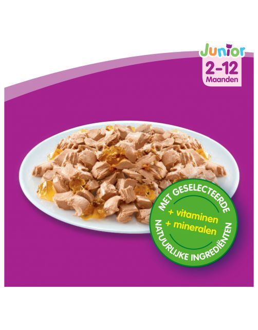 Whiskas Casserole Junior - Kattenvoer - Vis Gelei 85 g