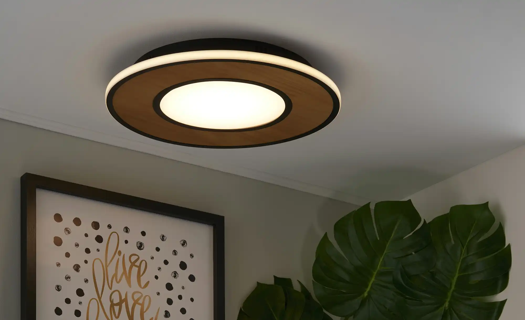 Trio LED-Deckenleuchte, neuseeländische Pinie