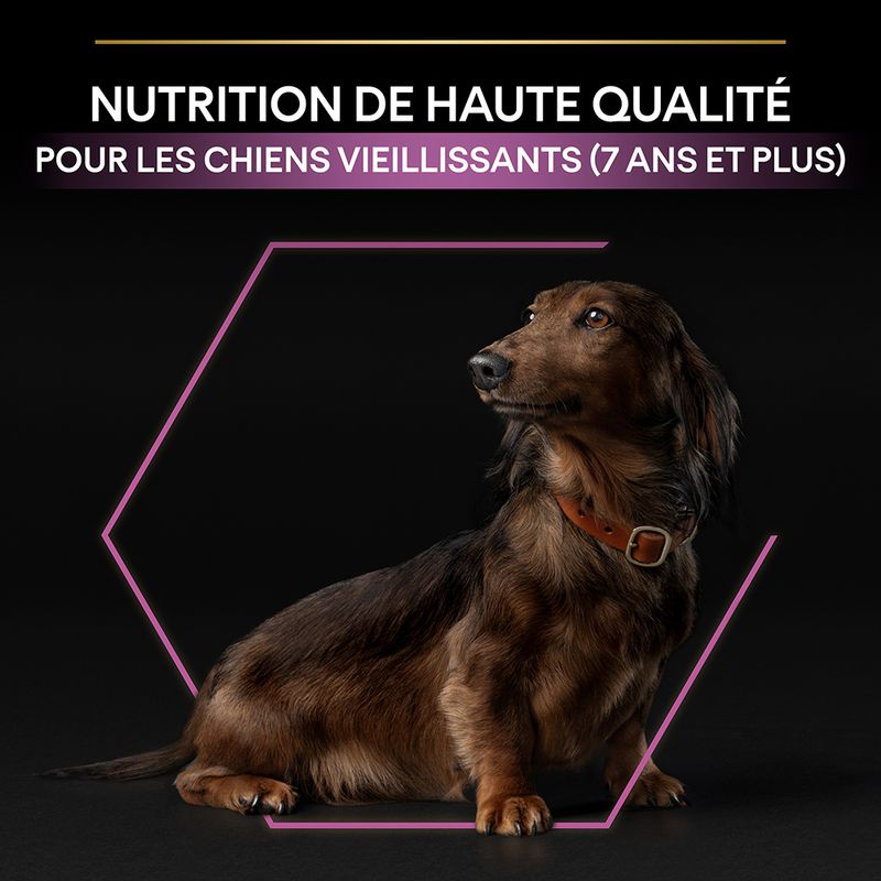 PURINA PRO PLAN Small & Mini Adult 9+ Age Defence
