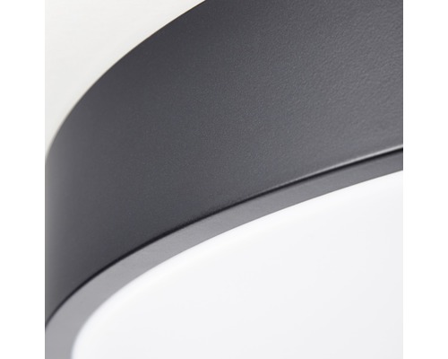 LED plafondlamp CCT dimbaar 60W 4800 lm 3000-6500 K Ø 49 cm Slimline wit/zwart + afstandsbediening