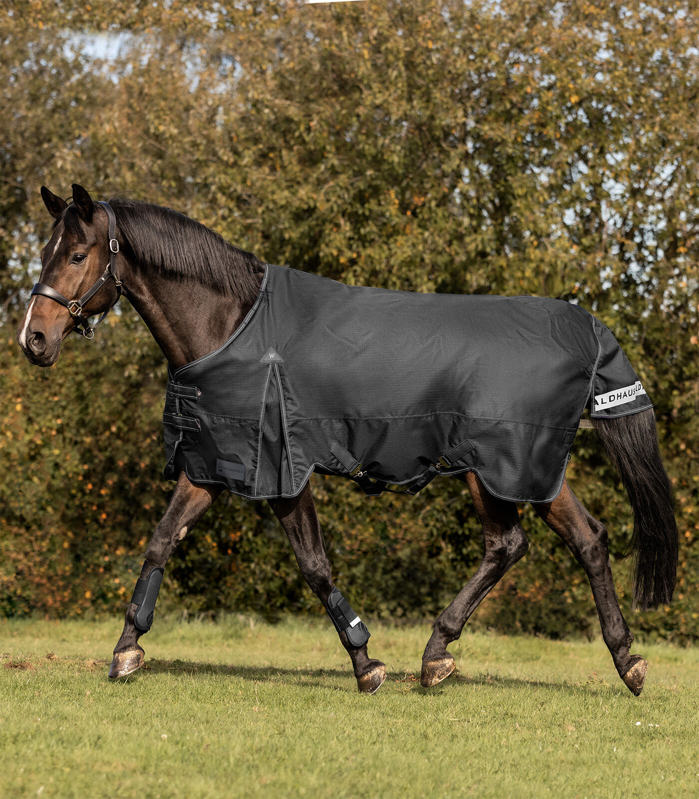Waldhausen Arctic 100 gr - Winterdeken - Paardendeken - Zwart - 145/195