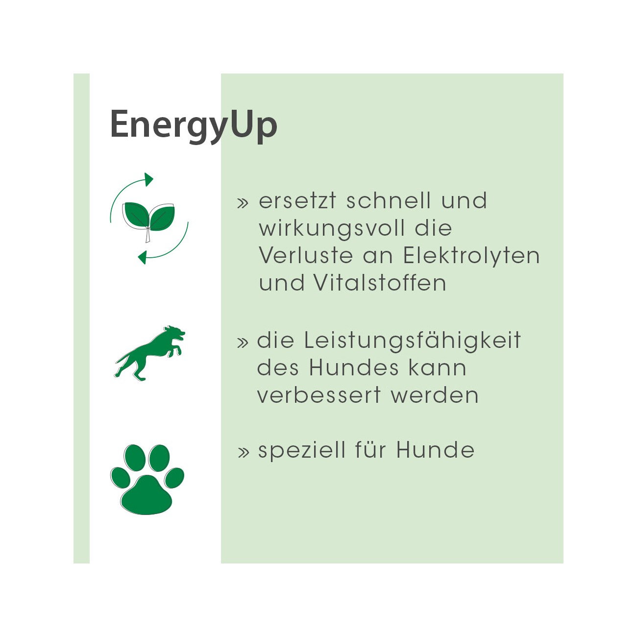 cdVet EnergyUp 450g