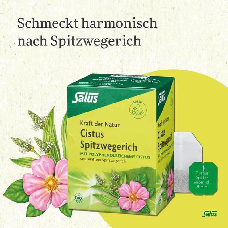 Cistus Spitzwegerich Tee Bio Filterbeutel, 15 St