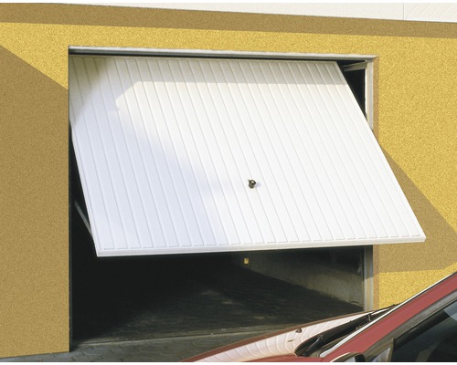 Hörmann Berry 902 draaipoort, 2250x1920 mm, wit