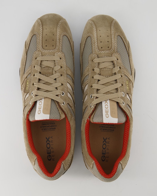 Geox Snake Sneaker in Beige