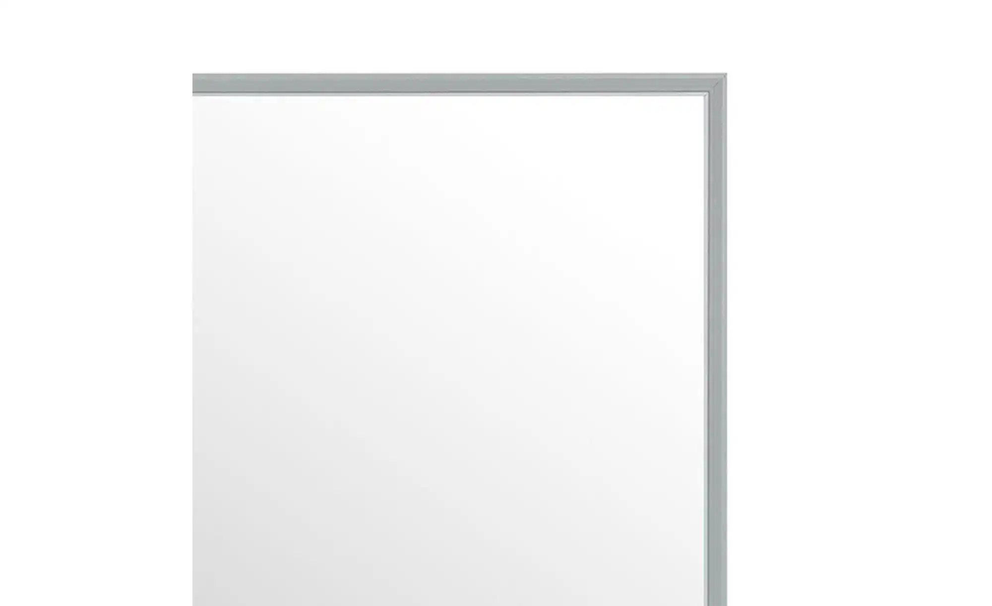 Spiegel 41 x 131 cm