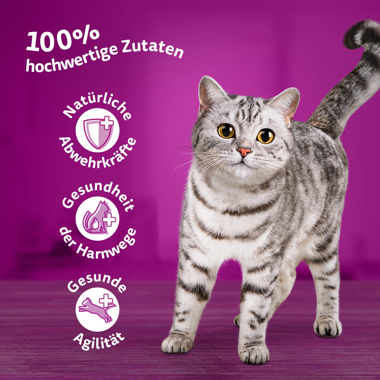 Whiskas Multipack 7+ Gemischte Auswahl in Sauce 12 x 85g