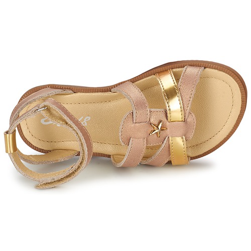 Mod'8 - HOPAL - Rose