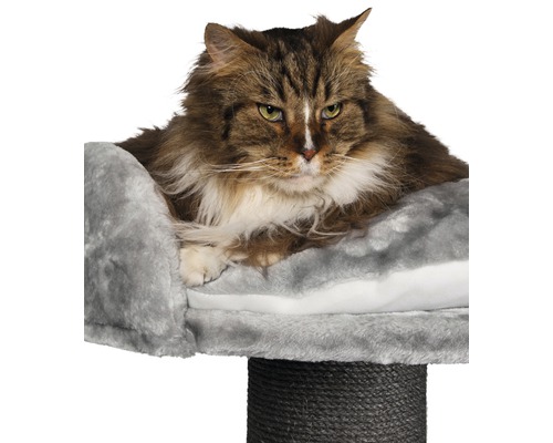 Karlie Tura kattenboom 60x60x100 cm grijs