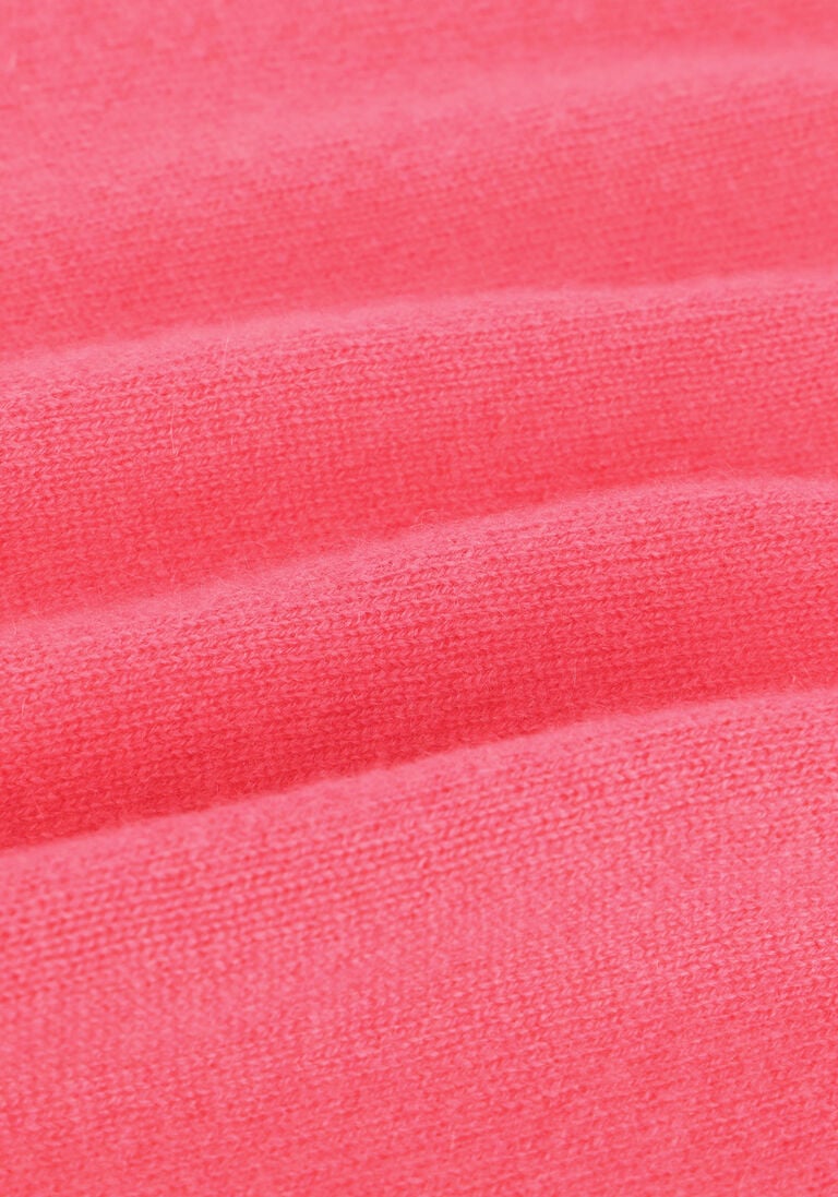 NOT SHY roze not shy trui faustine
