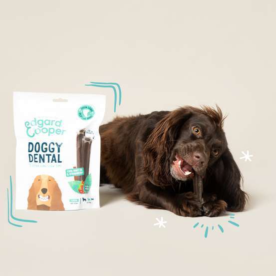 Mâch'Sticks Moyen Chien Fraise & Huile de Menthe 160g
