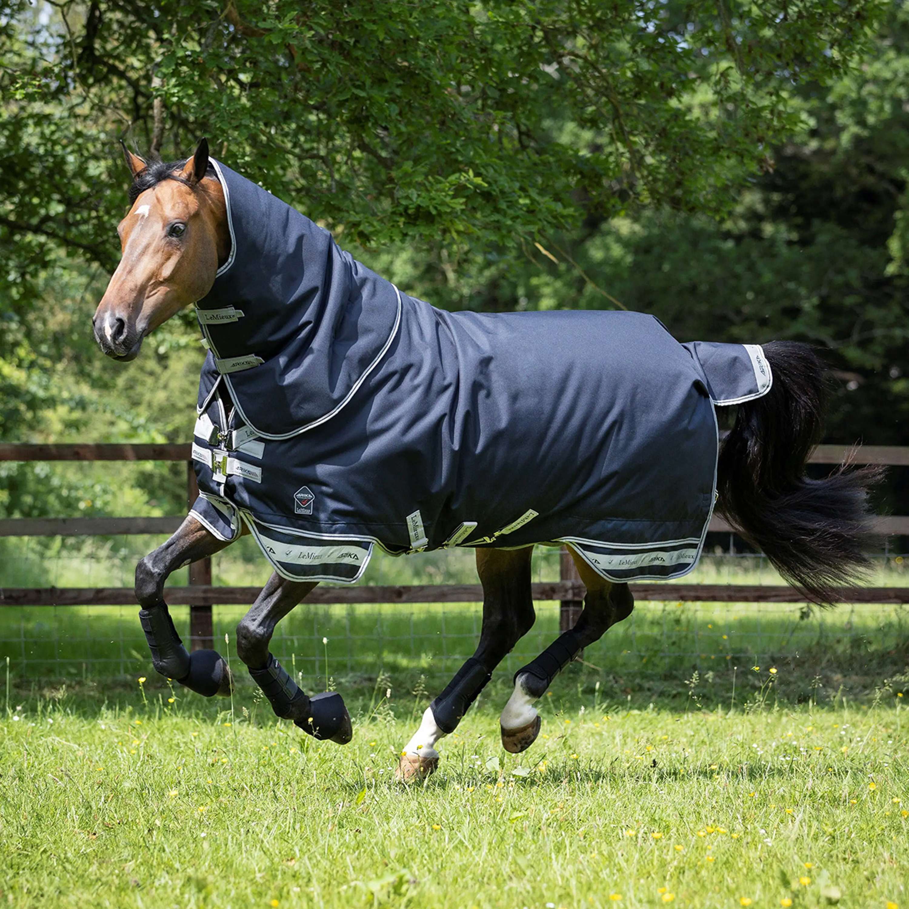 LeMieux Deken Arika Storm-Tek Turnout 100g Navy