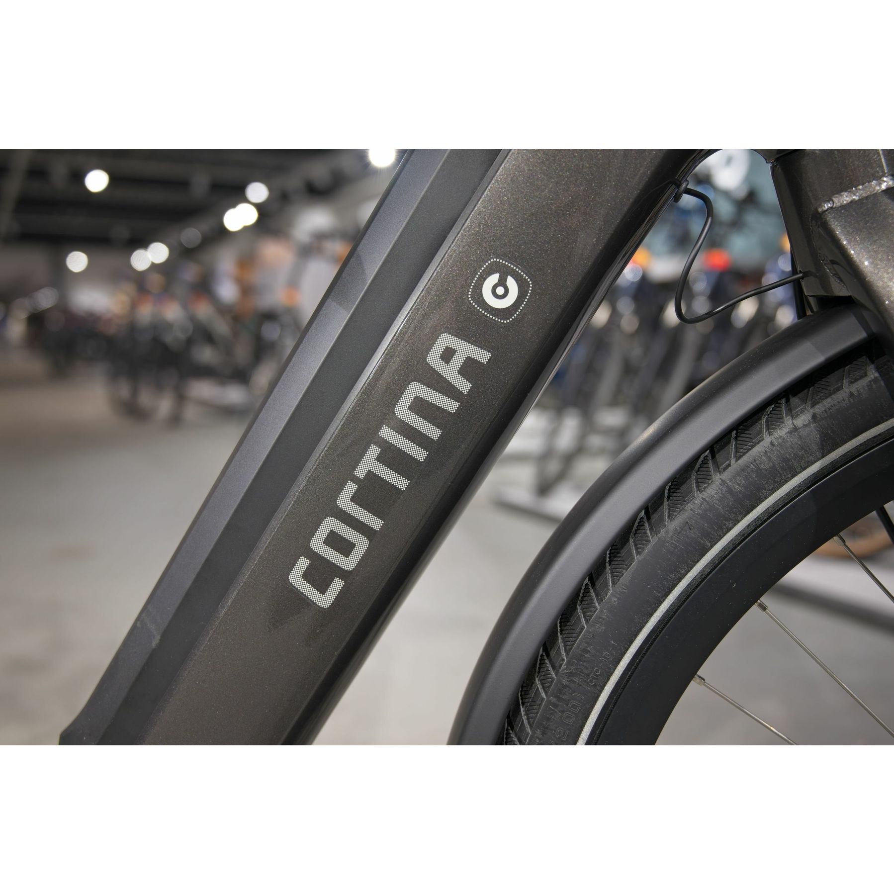 Cortina E-Common Integrated 2025