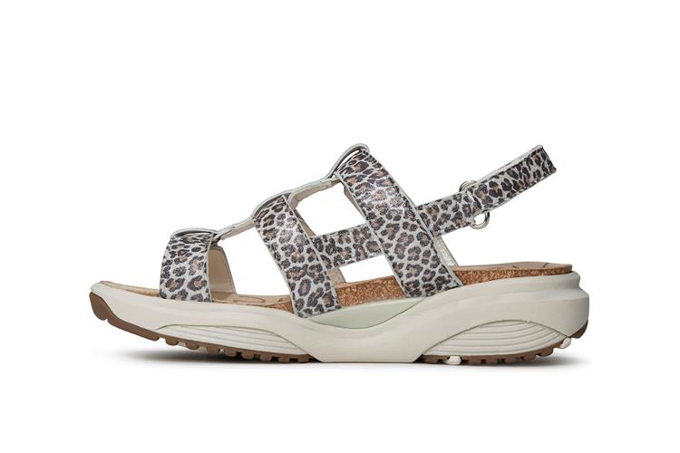 Xsensible 30321.5 wijdte H Samos H Leopard