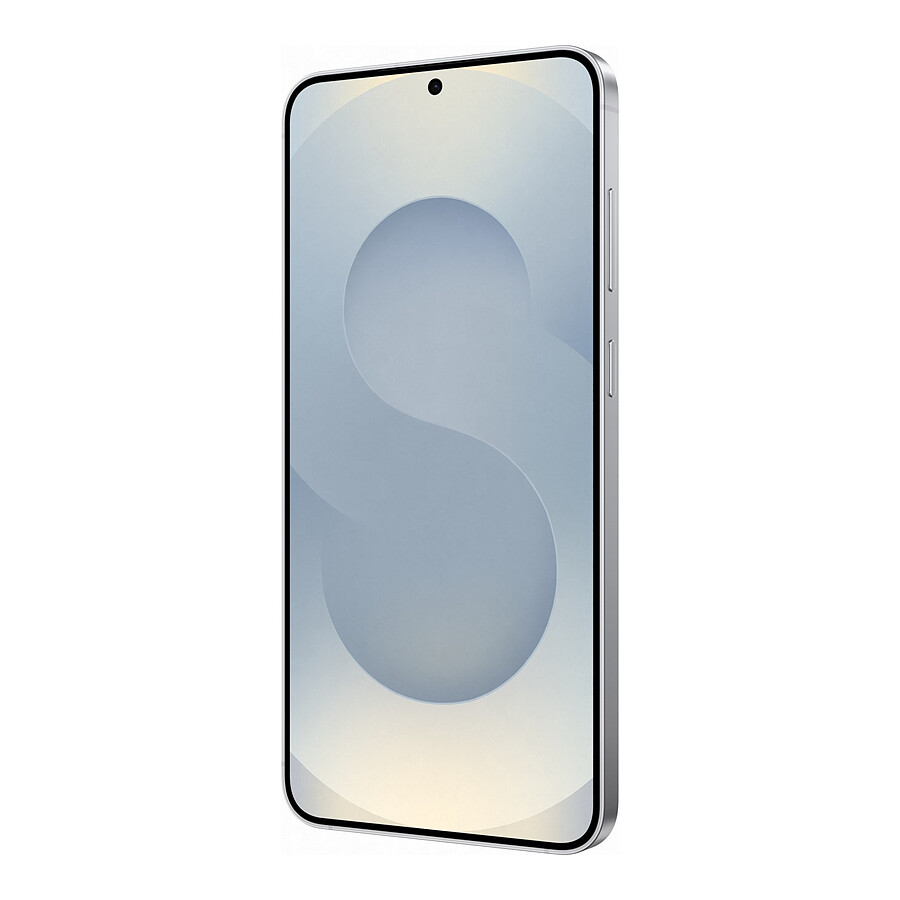 Samsung Galaxy S25+ 5G (Gris) - 256 Go
