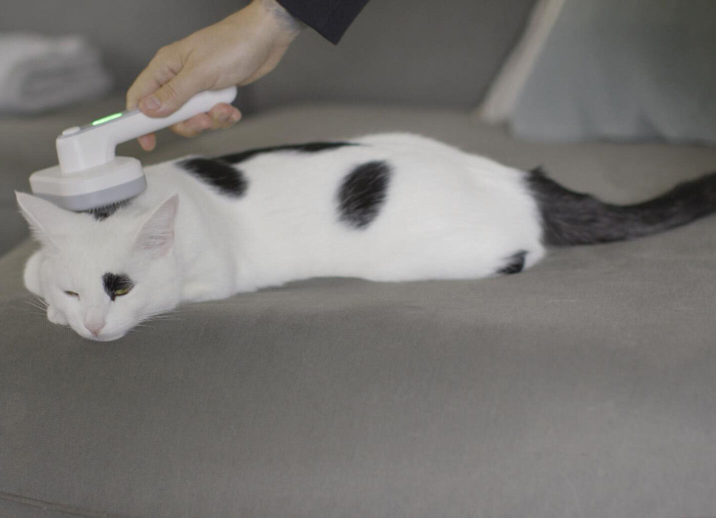 «PiddiPet IonBrush» Tierhaarbürste i