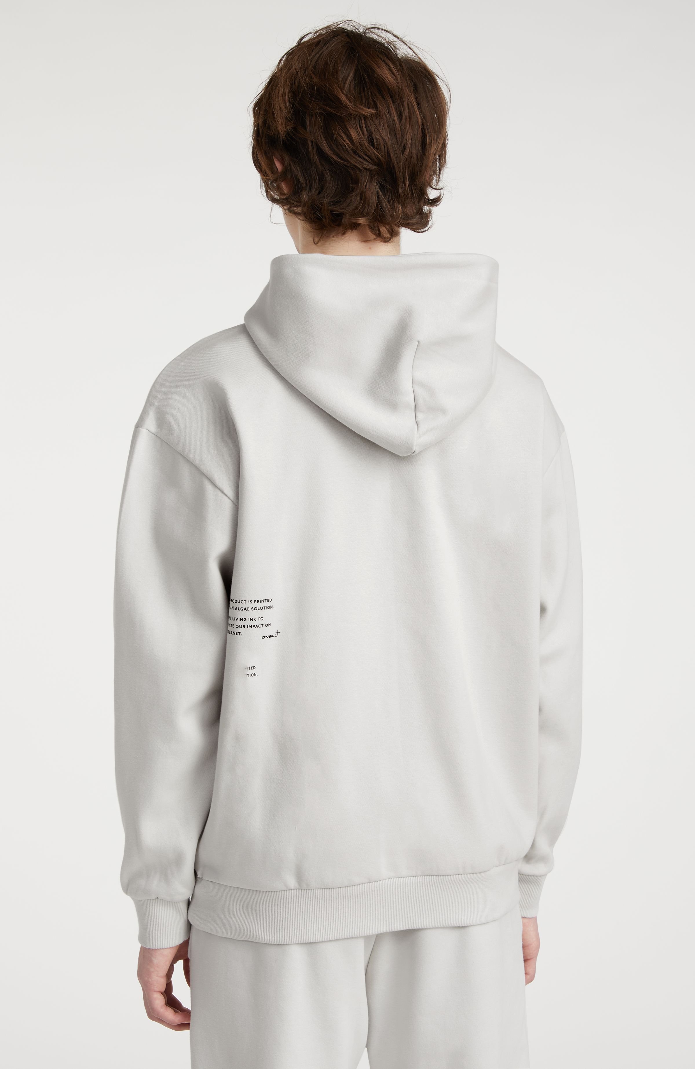 Hoodie Future Surf Society O`Neill Beige