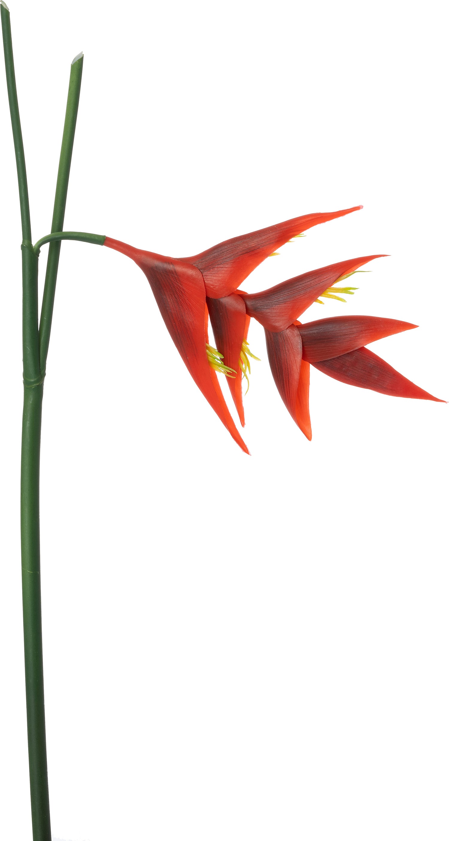 Intratuin kunstbloem Heliconia rood 88 cm