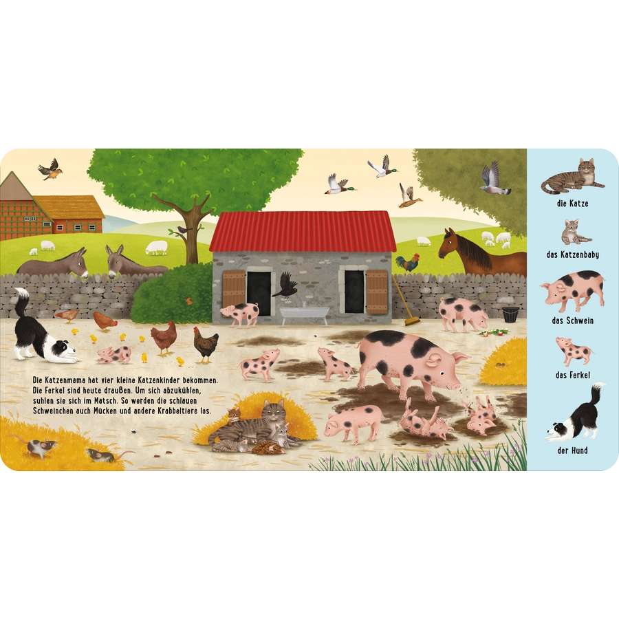 Thienemann-Esslinger Mein erstes Natur-Wimmelbuch: Tiere auf dem Bauernhof