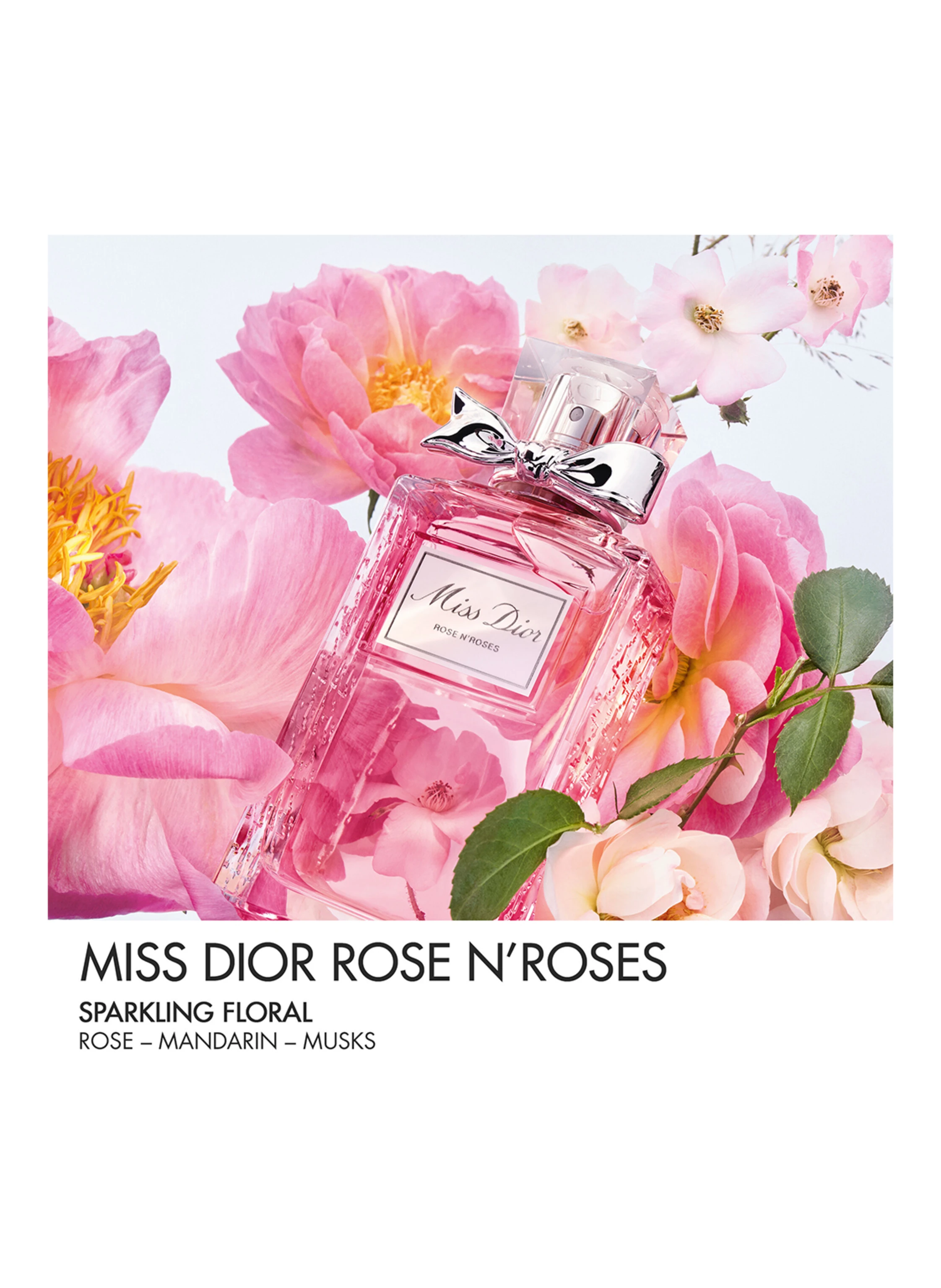 DIOR MISS DIOR ROSE N'ROSES