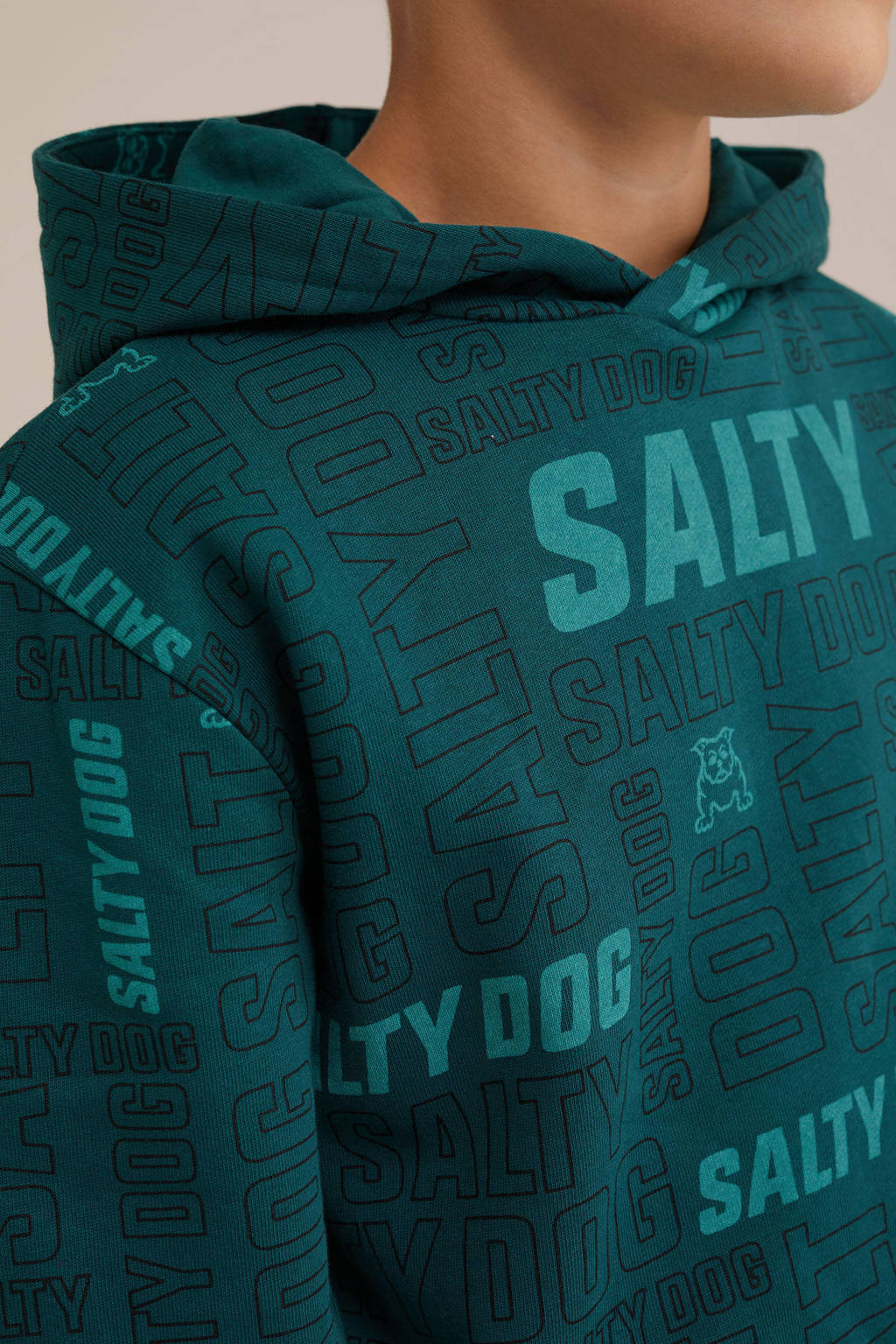 Salty Dog hoodie petrol