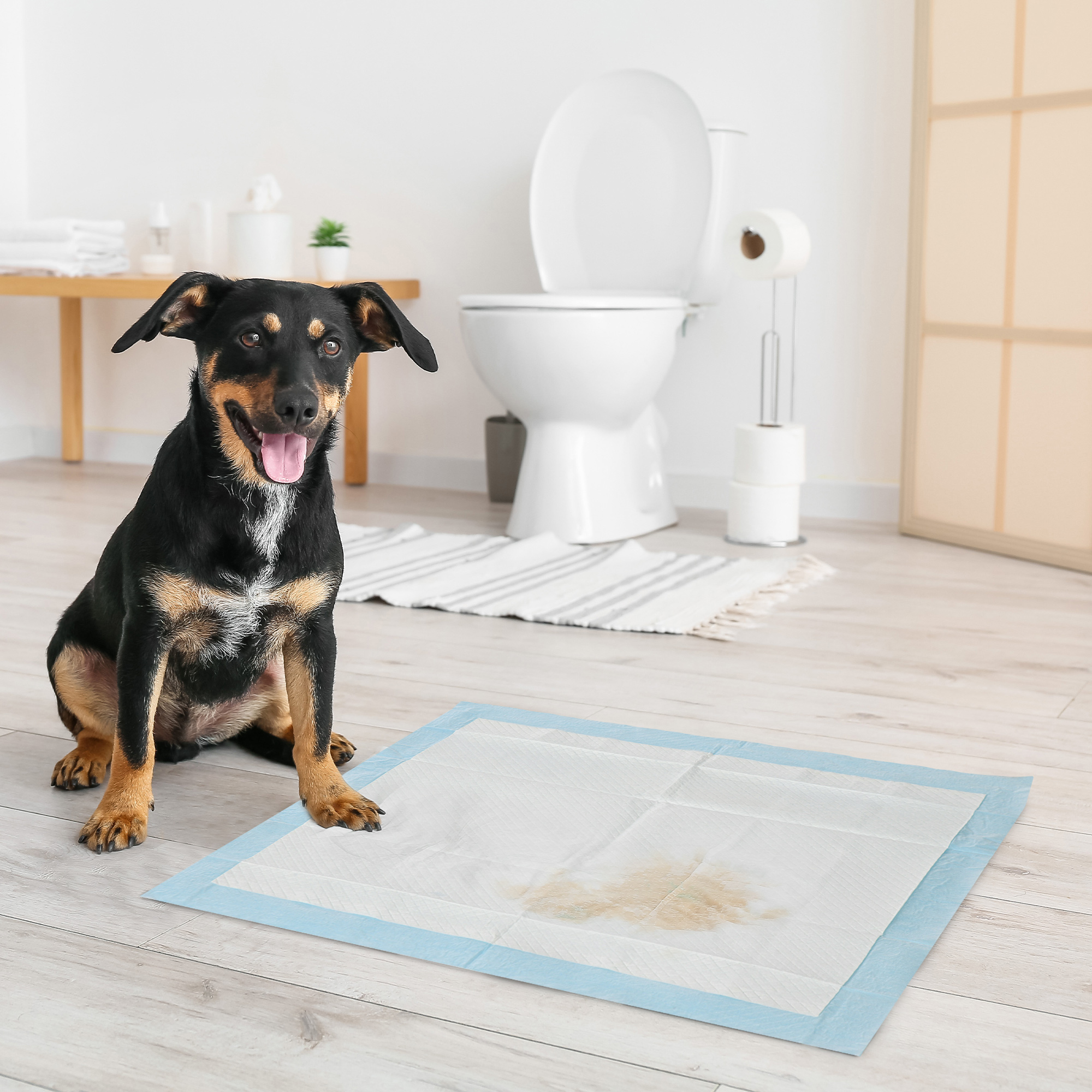 Tapetes higiênicos para cães PawHut, pacote com 100 unidades, 45x30 cm, 6 camadas, secagem rápida, à prova de vazamentos, azul.