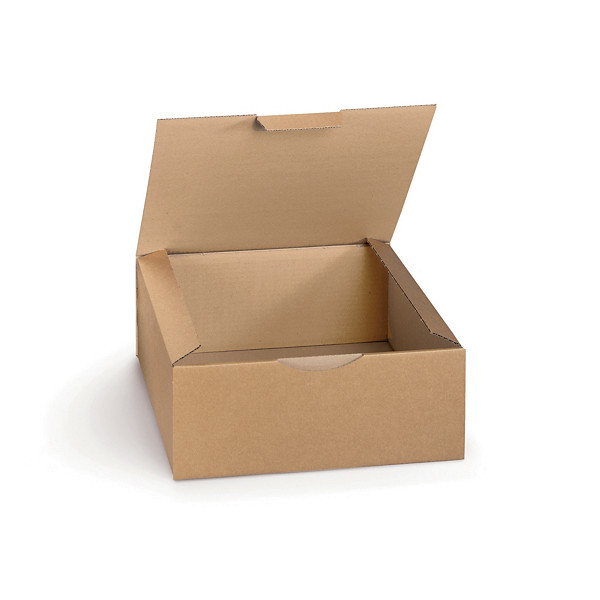 Boîte carton brune d'expédition RAJAPOST 33x30x13 cm