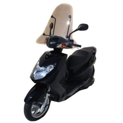 Pare brise Ermax CLASSICO DECOUPE M 65 CM - Incolore