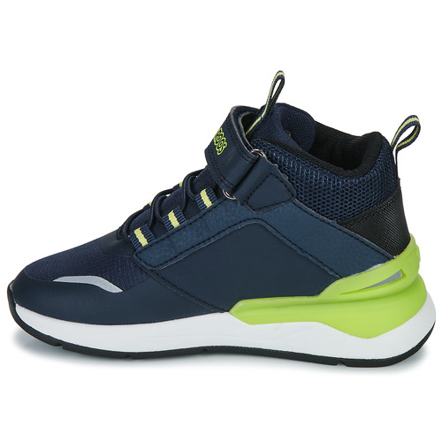 Kangaroos - KD DOSE EV - Marine