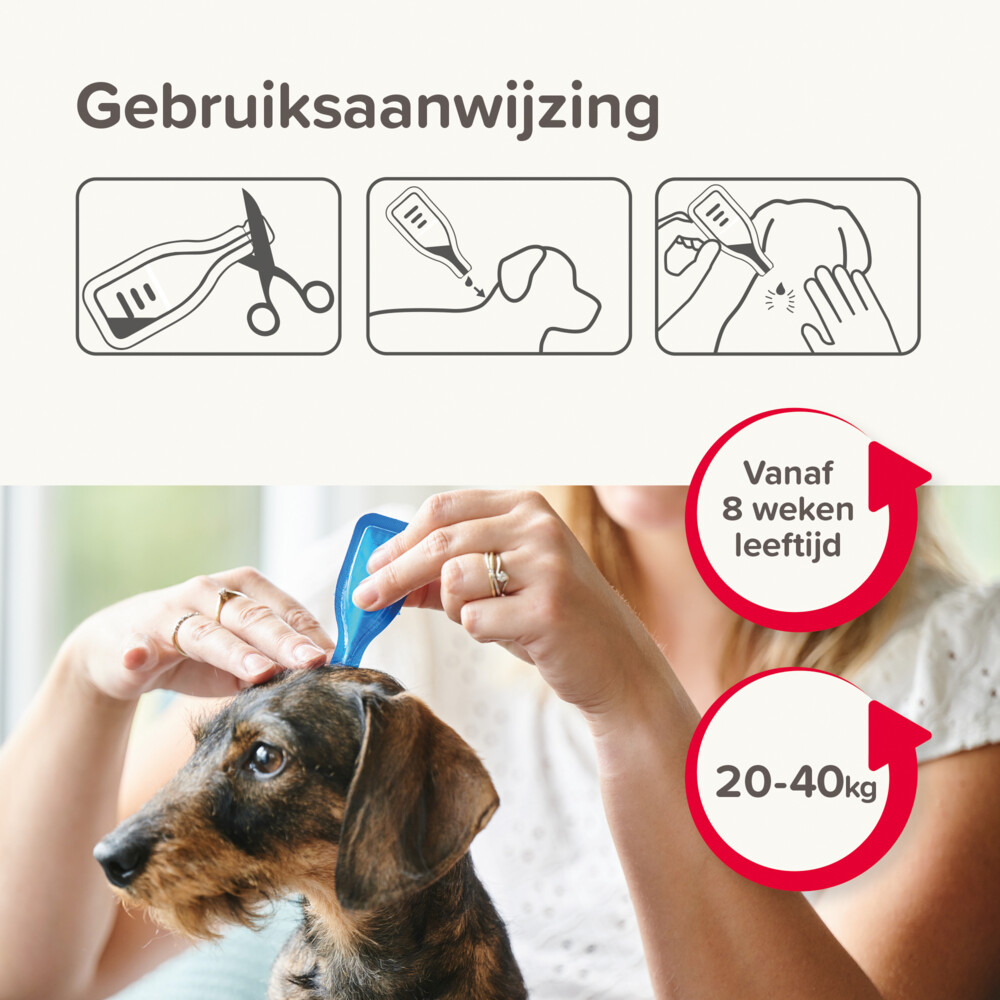 Beaphar Combotec Anti Teken- en Vlooiendruppels Hond 20-40 kg2 pipetten